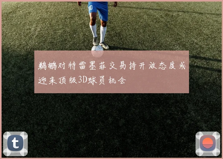 鹈鹕对特雷墨菲交易持开放态度或迎来顶级3D球员机会